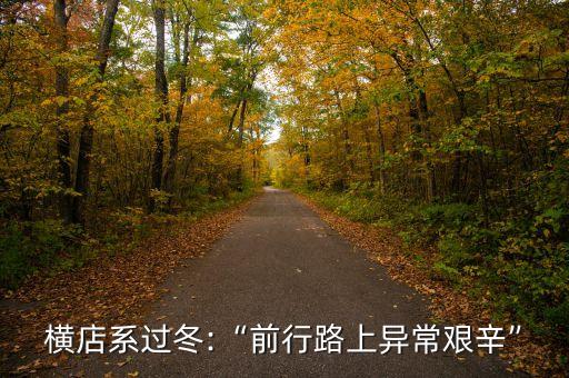 橫店系過(guò)冬:“前行路上異常艱辛”