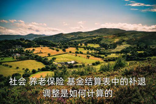 社會 養(yǎng)老保險(xiǎn) 基金結(jié)算表中的補(bǔ)退調(diào)整是如何計(jì)算的