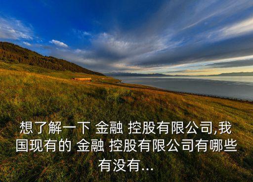 想了解一下 金融 控股有限公司,我國(guó)現(xiàn)有的 金融 控股有限公司有哪些有沒有...