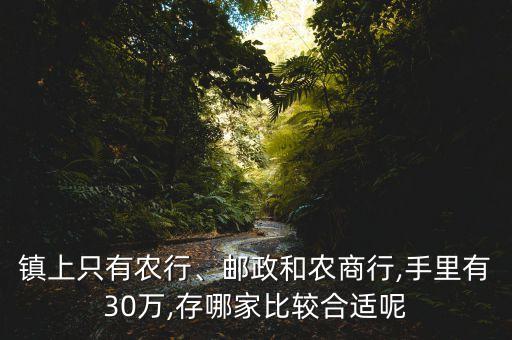 鎮(zhèn)上只有農(nóng)行、郵政和農(nóng)商行,手里有30萬,存哪家比較合適呢