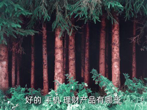 好的 手機 理財產(chǎn)品有哪些