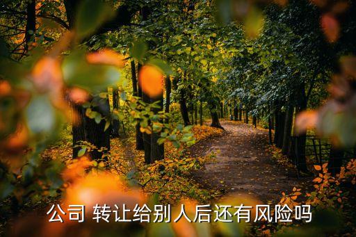  公司 轉讓給別人后還有風險嗎