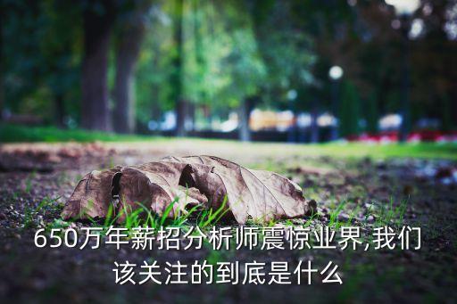 650萬年薪招分析師震驚業(yè)界,我們該關注的到底是什么