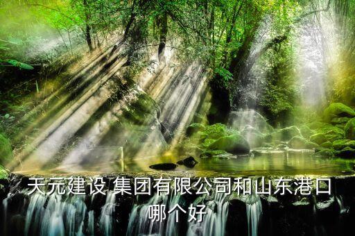  天元建設(shè) 集團有限公司和山東港口哪個好