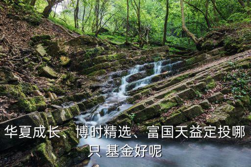 華夏成長、博時精選、富國天益定投哪只 基金好呢