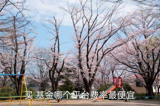 買 基金哪個(gè)平臺費(fèi)率最便宜