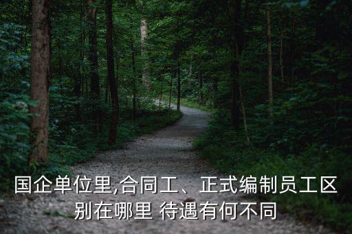 國企單位里,合同工、正式編制員工區(qū)別在哪里 待遇有何不同