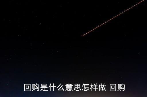 如何參與股票回購,個(gè)人如何參與逆回購