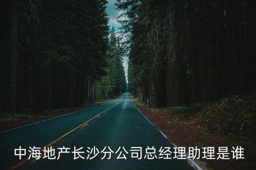  中海地產(chǎn)長(zhǎng)沙分公司總經(jīng)理助理是誰