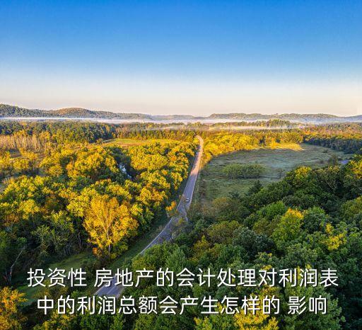  投資性 房地產(chǎn)的會(huì)計(jì)處理對(duì)利潤表中的利潤總額會(huì)產(chǎn)生怎樣的 影響