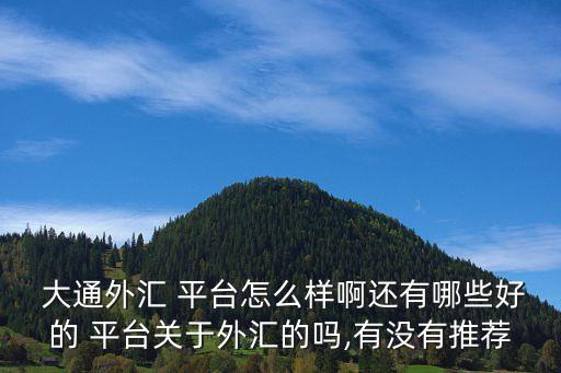  大通外匯 平臺怎么樣啊還有哪些好的 平臺關于外匯的嗎,有沒有推薦