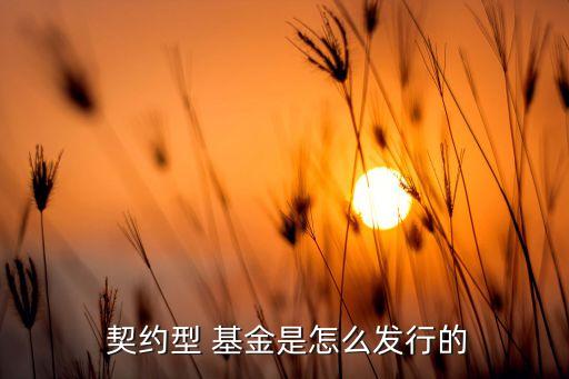 基金契約,開(kāi)放式基金成立初期,可以在基金契約