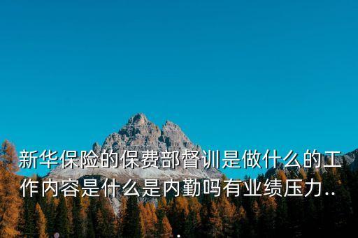  新華保險的保費(fèi)部督訓(xùn)是做什么的工作內(nèi)容是什么是內(nèi)勤嗎有業(yè)績壓力...