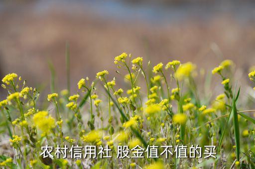  農(nóng)村信用社 股金值不值的買(mǎi)