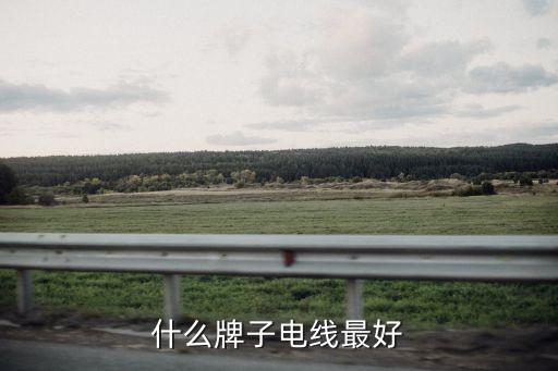 什么牌子電線(xiàn)最好
