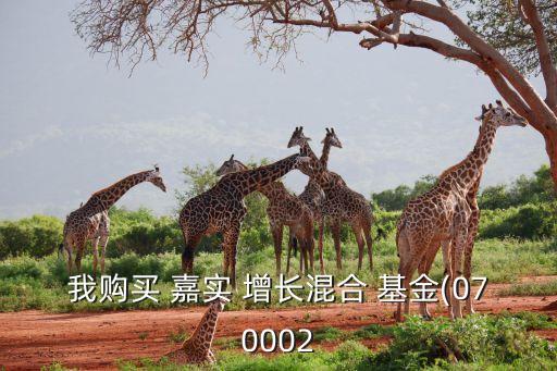 我購(gòu)買(mǎi) 嘉實(shí) 增長(zhǎng)混合 基金(070002