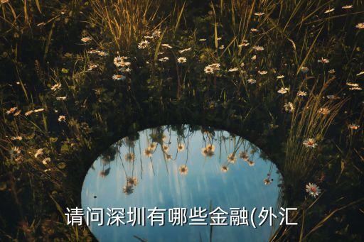 請(qǐng)問(wèn)深圳有哪些金融(外匯