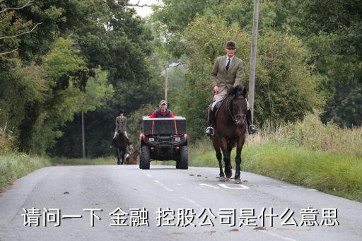 請(qǐng)問一下 金融 控股公司是什么意思