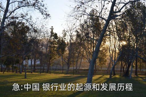 中國(guó)國(guó)有銀行利潤(rùn)來源研究