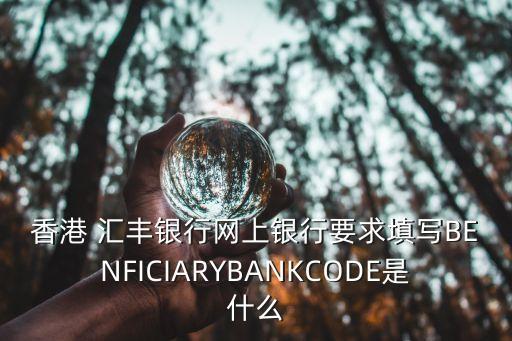 香港 匯豐銀行網上銀行要求填寫B(tài)ENFICIARYBANKCODE是什么