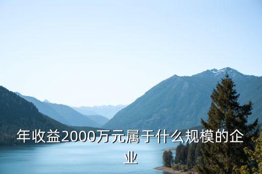 年收益2000萬(wàn)元屬于什么規(guī)模的企業(yè)