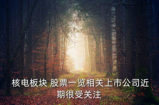 核電制造股票,中國(guó)核電股票可以長(zhǎng)期持有嗎