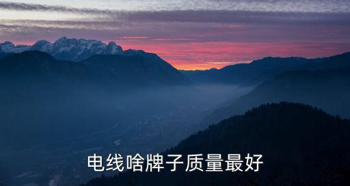 電線(xiàn)啥牌子質(zhì)量最好