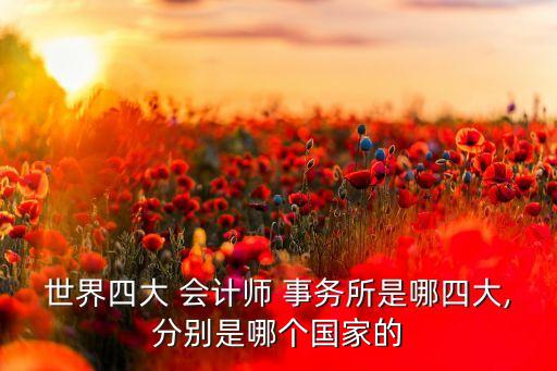 世界四大 會(huì)計(jì)師 事務(wù)所是哪四大,分別是哪個(gè)國家的