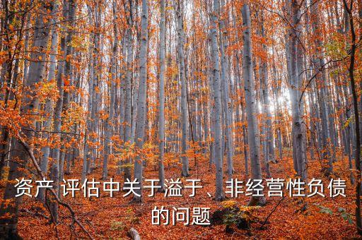 資產(chǎn) 評估中關(guān)于溢于、非經(jīng)營性負(fù)債的問題
