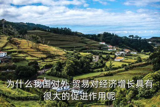 為什么我國對(duì)外 貿(mào)易對(duì)經(jīng)濟(jì)增長具有很大的促進(jìn)作用呢