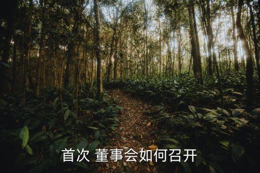 首次 董事會(huì)如何召開(kāi)
