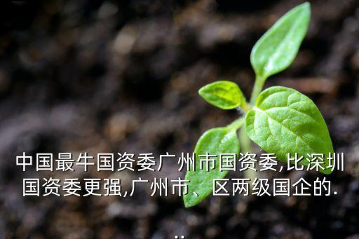 中國最牛國資委廣州市國資委,比深圳國資委更強,廣州市、區(qū)兩級國企的...