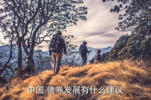 中國(guó)債券市場(chǎng)問(wèn)題,中國(guó)的債券市場(chǎng)