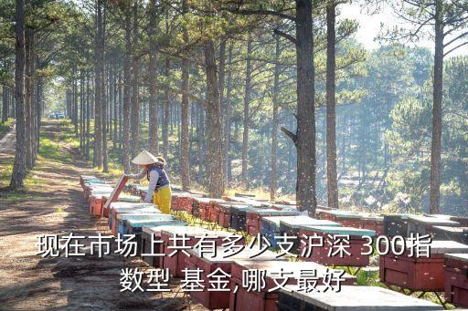 現在市場上共有多少支滬深 300指數型 基金,哪支最好