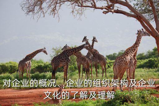 對(duì)企業(yè)的概況、企業(yè)的組織架構(gòu)及企業(yè)文化的了解及理解