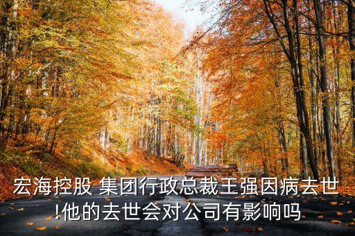 宏?？毓?集團(tuán)行政總裁王強(qiáng)因病去世!他的去世會(huì)對公司有影響嗎