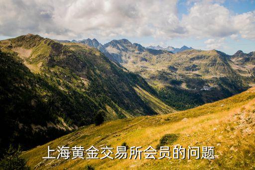 天鑫洋上海回購(gòu)