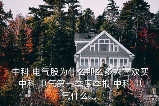  中科 電氣股為什么那么多人喜歡買 中科 電氣第一季度季報(bào) 中科 電氣什么...