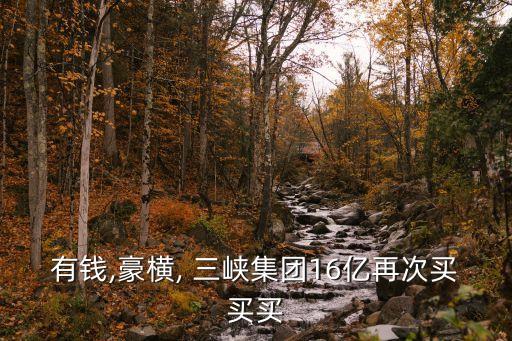 有錢(qián),豪橫, 三峽集團(tuán)16億再次買(mǎi)買(mǎi)買(mǎi)