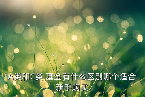 A類和C類 基金有什么區(qū)別哪個(gè)適合新手購買