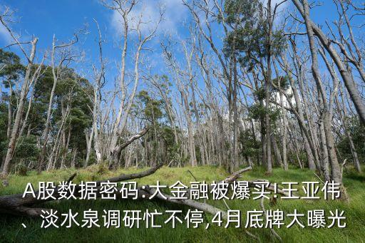 A股數(shù)據(jù)密碼:大金融被爆買!王亞偉、淡水泉調(diào)研忙不停,4月底牌大曝光