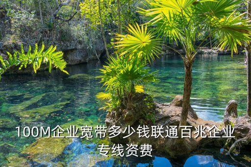 100M企業(yè)寬帶多少錢(qián)聯(lián)通百兆企業(yè)專線資費(fèi)