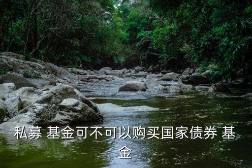 私募 基金可不可以購(gòu)買國(guó)家債券 基金