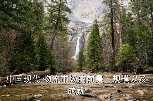 中國(guó)現(xiàn)代 物流市場(chǎng)的前景、規(guī)模以及成就