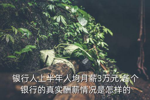  銀行人上半年人均月薪3萬元,各個(gè) 銀行的真實(shí)酬薪情況是怎樣的