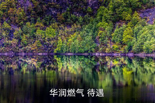 華潤(rùn)燃?xì)?待遇