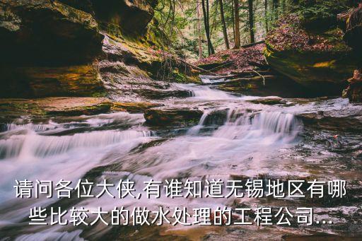 請(qǐng)問各位大俠,有誰知道無錫地區(qū)有哪些比較大的做水處理的工程公司...