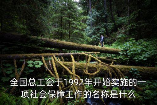 全國總工會于1992年開始實(shí)施的一項(xiàng)社會保障工作的名稱是什么