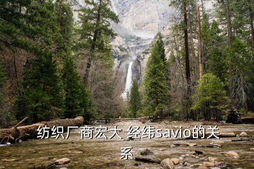  紡織廠商宏大 經緯savio的關系
