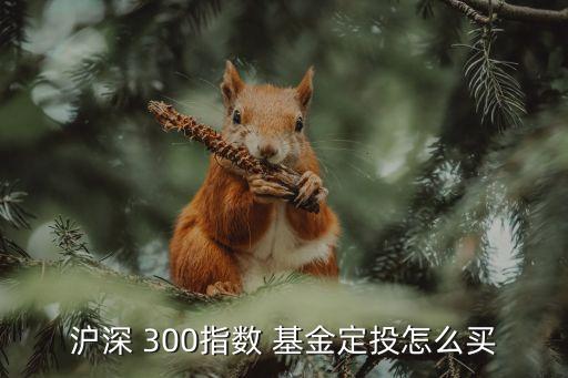 滬深 300指數 基金定投怎么買